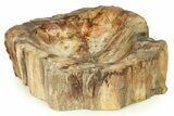 Polished Petrified Wood Dish - Madagascar #282398-1